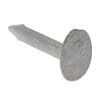 Clout Nails Extra Large Head - Galvanised - Box - 3.00 x 30mm Thumbnail