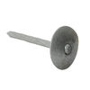 Spring Heads - Galvanised - Box - 3.35 x 65mm Thumbnail