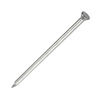 Don Quichotte Masonry Nails - Heavy Gauge - Zinc Galvanised - Box - 3.5 x 100mm Thumbnail