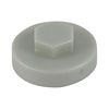 TIMCO Hex Head Cover Caps White - 16mm Thumbnail