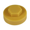 TIMCO Hex Head Cover Caps Bamboo - 16mm Thumbnail