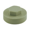 TIMCO Hex Head Cover Caps Meadowland - 16mm Thumbnail