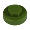 TIMCO Hex Head Cover Caps Sage - 16mm Thumbnail