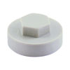 TIMCO Hex Head Cover Caps Albatross - 16mm Thumbnail