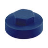 TIMCO Hex Head Cover Caps Sargasso - 16mm Thumbnail