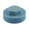 TIMCO Hex Head Cover Caps Squirrel - 16mm Thumbnail