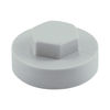 TIMCO Hex Head Cover Caps Oyster - 16mm Thumbnail