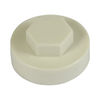 TIMCO Hex Head Cover Caps Hamlet - 16mm Thumbnail