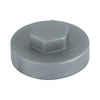 TIMCO Hex Head Cover Caps Dark Silver - 19mm Thumbnail