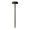 TIMCO Polymer Headed Nails A4 Stainless Steel Black - 50mm Thumbnail