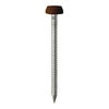 TIMCO Polymer Headed Pins A4 Stainless Steel Mahogany - 25mm Thumbnail