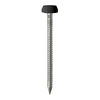 TIMCO Polymer Headed Pins A4 Stainless Steel Black - 30mm Thumbnail