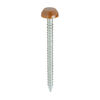 TIMCO Polymer Headed Pins A4 Stainless Steel Clay Brown - 30mm Thumbnail