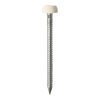 TIMCO Polymer Headed Pins A4 Stainless Steel Cream - 30mm Thumbnail