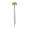 TIMCO Polymer Headed Pins A4 Stainless Steel Oak - 30mm Thumbnail