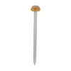 TIMCO Polymer Headed Pins A4 Stainless Steel Oak - 40mm Thumbnail