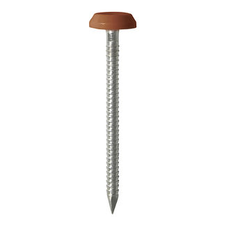 TIMCO Polymer Headed Nails A4 Stainless Steel Clay Brown - 50mm