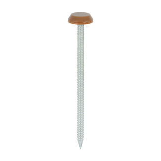 TIMCO Polymer Headed Nails A4 Stainless Steel Clay Brown - 65mm