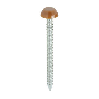 TIMCO Polymer Headed Pins A4 Stainless Steel Clay Brown - 30mm